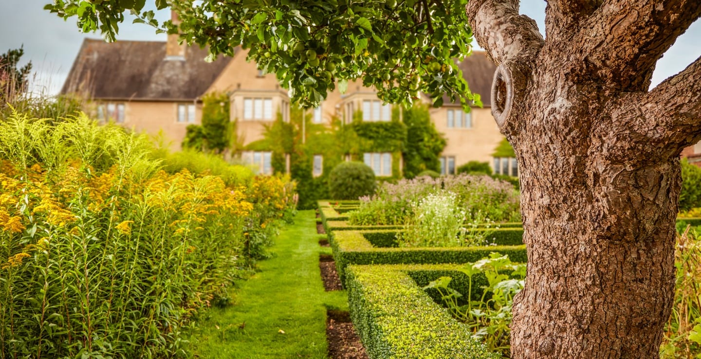 mallory court gardening tips
